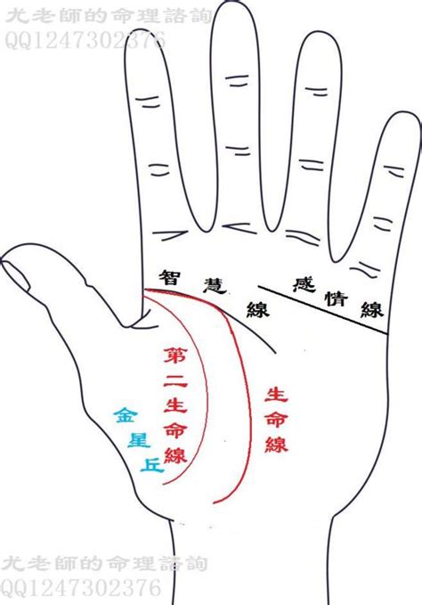 2條生命線|手相基礎學（二）生命線